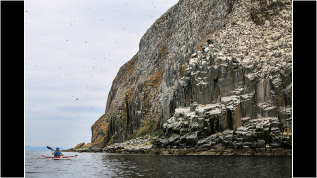 Ailsa Craig's West Coast & Gannets Sea Kayak Ailsa Craig Gannets