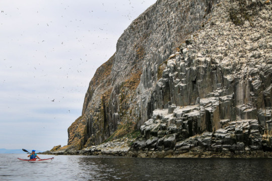 Ailsa Craig's West Coast & Gannets Sea Kayak Ailsa Craig Gannets