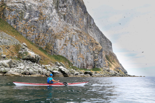 Ailsa Craig's West Coast & Gannets Sea Kayak Ailsa Craig Gannets