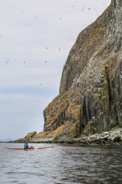 Ailsa Craig's West Coast & Gannets Sea Kayak Ailsa Craig Gannets