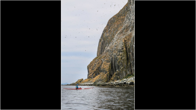Ailsa Craig's West Coast & Gannets Sea Kayak Ailsa Craig Gannets