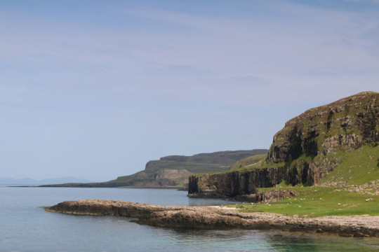 Canna's North Coast Canna