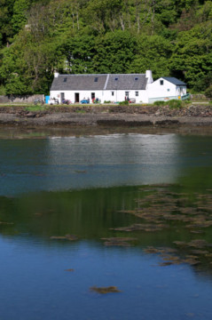Canna's Cafe, A'Chill Canna