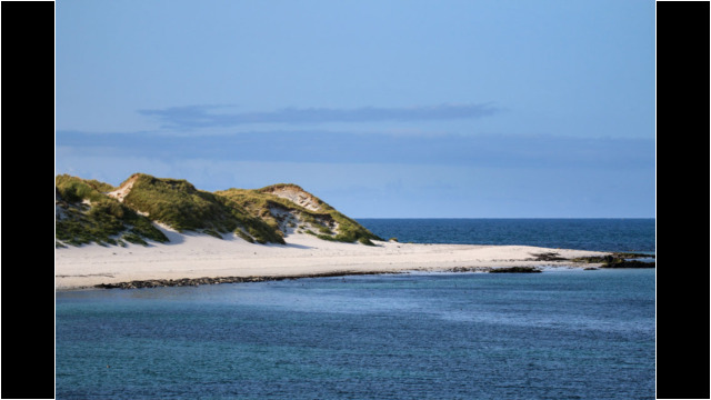 Grey Seals on Ceann Ear, Monach Islands Monach Islands Grey Seals Beach
