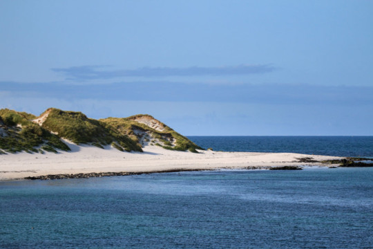 Grey Seals on Ceann Ear, Monach Islands Monach Islands Grey Seals Beach