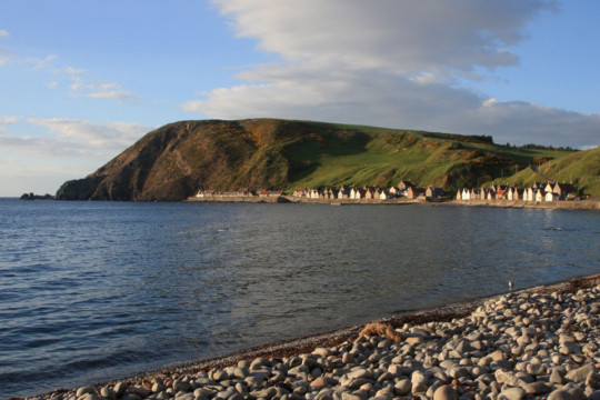 Crovie & Troup Head Troup Head Crovie