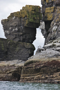 Rock architecture near Collieston Port Errol to Collieston
