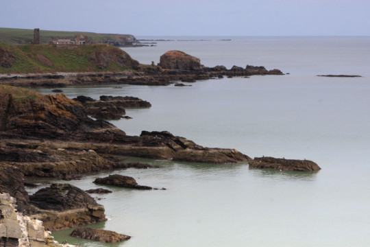 Old Slains castle, Puffin Stack & coastline Sea Kayak Port Errol to Collieston
