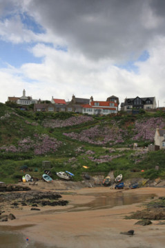 Collieston Harbour Sea Kayak Port Errol to Collieston