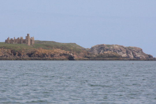 Slains Castle Sea Kayak Port Errol to Collieston