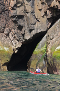 South of Cove Sea Kayak Cove to Stonehaven