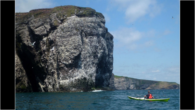 Fowlsheugh Bird Reserve & cliffs Sea Kayak Stonehaven to Inverbervie Fowlsheugh