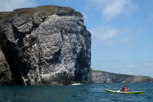 Fowlsheugh Bird Reserve & cliffs Sea Kayak Stonehaven to Inverbervie Fowlsheugh