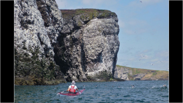 Fowlsheugh Bird Reserve & Cliffs Sea Kayak Stonehaven to Inverbervie Fowlsheugh