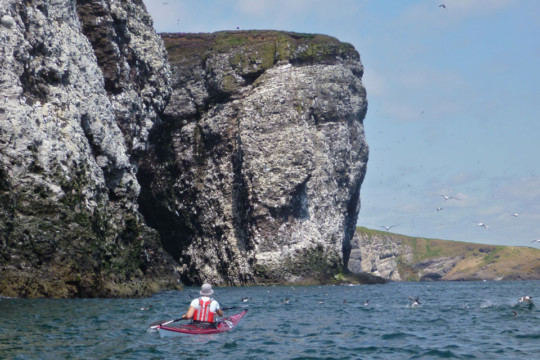 Fowlsheugh Bird Reserve & Cliffs Sea Kayak Stonehaven to Inverbervie Fowlsheugh