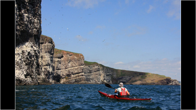 Fowlsheugh Cliffs Sea Kayak Stonehaven to Inverbervie Fowlsheugh