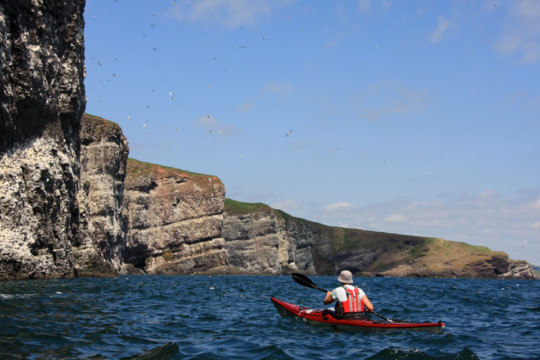 Fowlsheugh Cliffs Sea Kayak Stonehaven to Inverbervie Fowlsheugh
