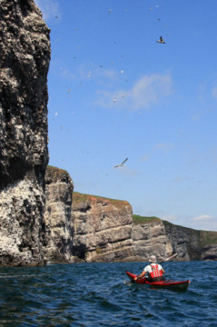 Fowlsheugh Cliffs Sea Kayak Stonehaven to Inverbervie Fowlsheugh