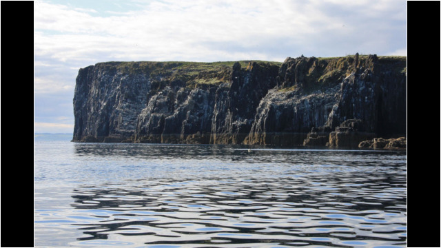 West coast of May Isle of May