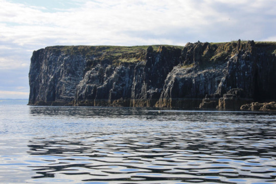 West coast of May Isle of May
