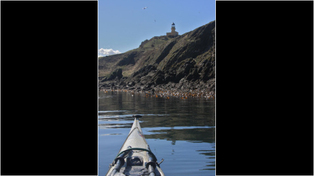 Inchkeith's Lighthouse Sea Kayak Inchkeith Lighthouse