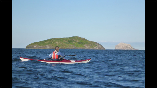 Craigleith, Bass Rock in distance Sea Kayak Fidra Craigleith Bass Rock
