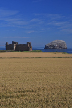 Bass Rock & Tantallon Castle Bass Rock Tantallon Castle
