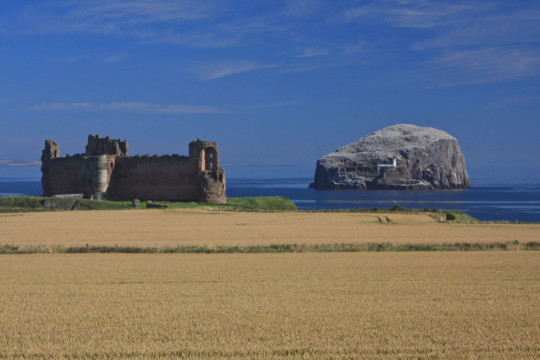 Bass Rock & Tantallon Castle Bass Rock Tantallon Castle
