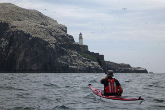 Bass Rock Lighthouse Sea Kayak Bass Rock Lighthouse