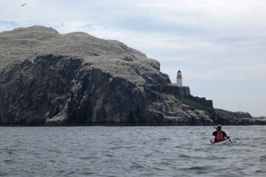 Arriving at Bass Rock Sea Kayak Bass Rock Lighthouse