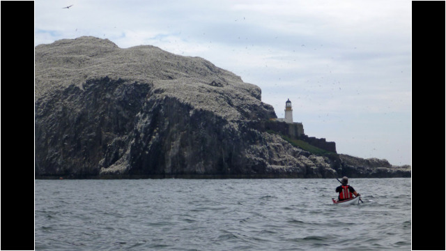 Arriving at Bass Rock Sea Kayak Bass Rock Lighthouse