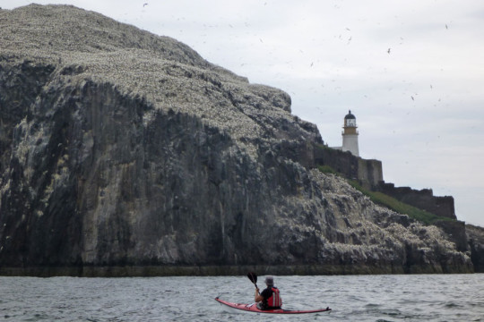 Bass Rock Lighthouse Sea Kayak Bass Rock Lighthouse
