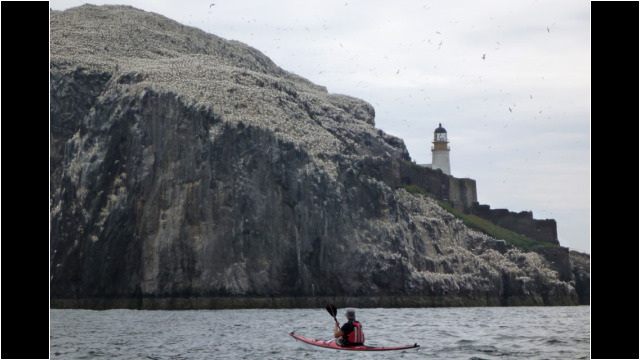 Bass Rock Lighthouse Sea Kayak Bass Rock Lighthouse