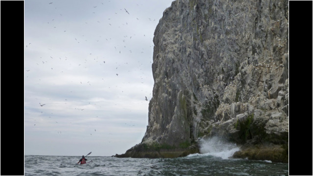 West coast of Bass Rock Sea Kayak Bass Rock