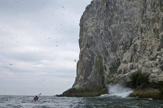 West coast of Bass Rock Sea Kayak Bass Rock