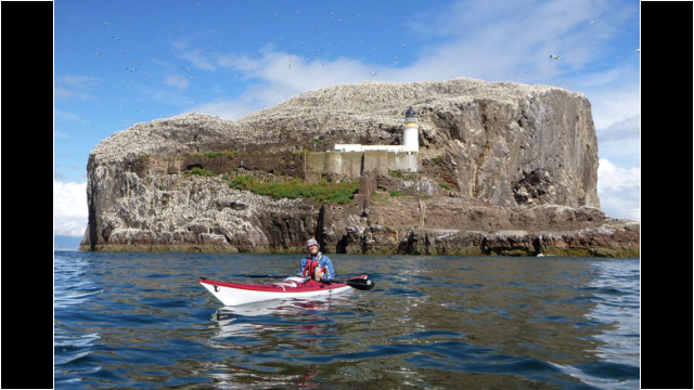 Bass Rock Lighthouse Sea Kayak Bass Rock Lighthouse