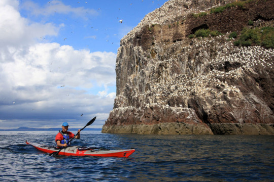 Bass Rock Sea Kayak Bass Rock