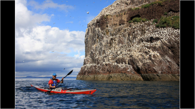Bass Rock Sea Kayak Bass Rock
