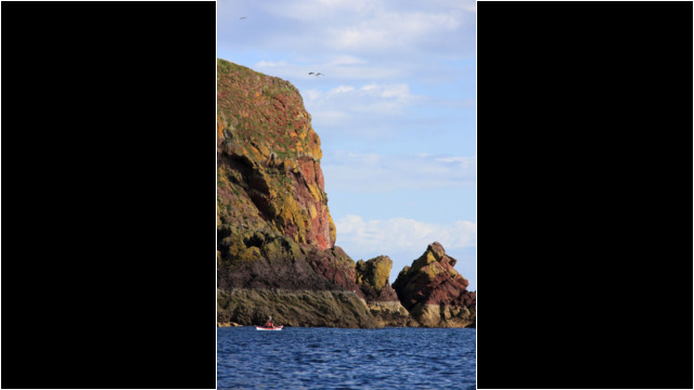 St Abbs Head cliffs Sea Kayak St Abbs Head