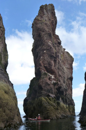 St Abbs Head Stack Sea Kayak St Abbs Head