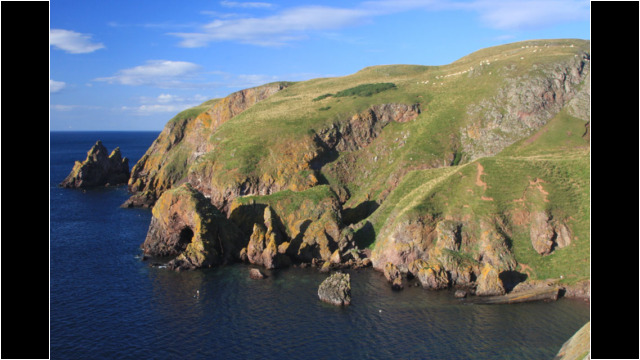 St Abbs Head & Pettico Wick St Abbs Head Pettico Wick