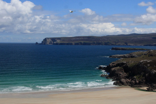 Whiten Head from Ceannabeinne Beach Whiten Head Ceannabeinne Beach