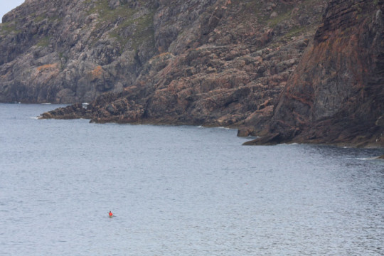 Farr Point Sea Kayak Farr Point