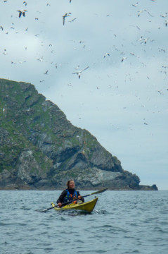 Gannets Sea Kayak Shetland Muckle Flugga Gannets