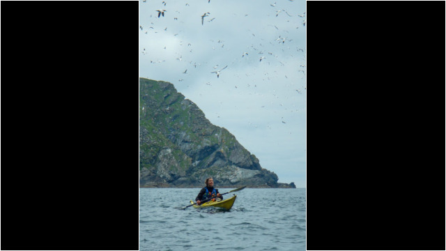 Gannets Sea Kayak Shetland Muckle Flugga Gannets