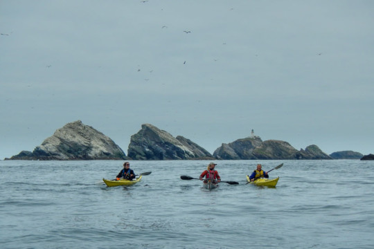 Muckle Flugga Sea Kayak Shetland Muckle Flugga