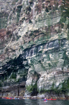 East coast cliffs Sea Kayak Shetland Isle of Noss