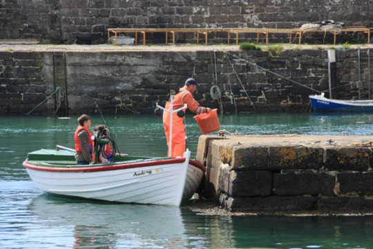 Keiss Harbour Keiss Harbour