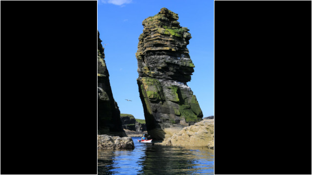 Stack, North coast of Noss Head Sea Kayak Noss Head