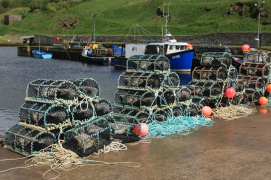 Lybster Harbour Dunbeath to Lybster Harbour